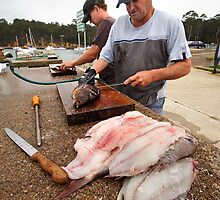 Catch of the day by Darren Stones