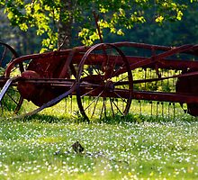 Ploughing Over by Pamela Jayne Smith