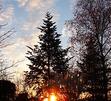 A new year is coming... by Cyril Marchand