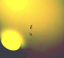 burn the ant by mykel