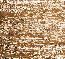 Shine and sparkle by Freelancer