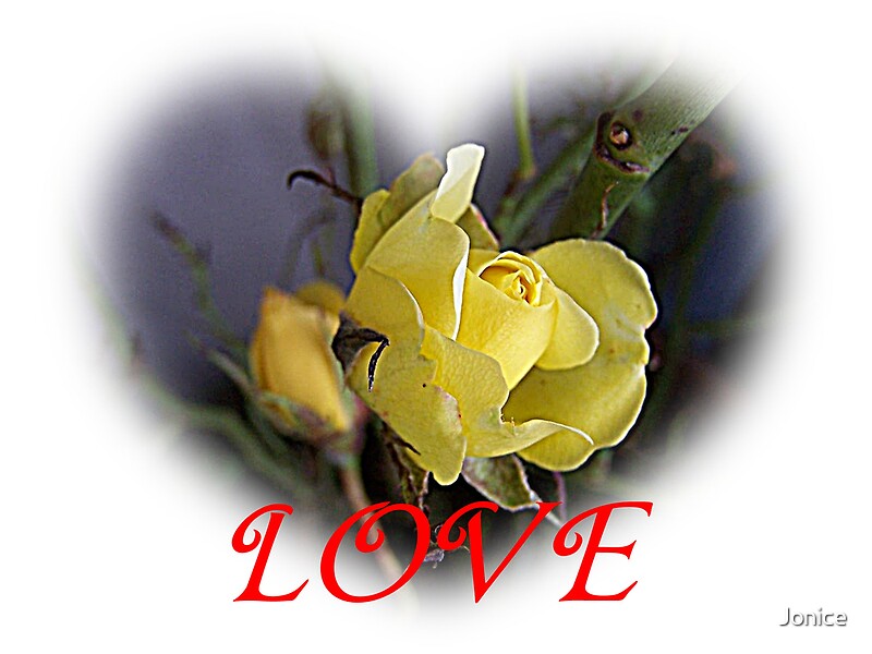 " Yellow Rose Love Heart Valentine" by Jonice Redbubble