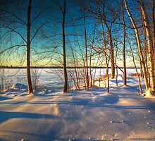 Unity Pond by Zach Schible