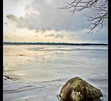 Freeze by Zach Schible
