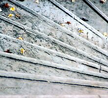 The Marble Steps of Life © Vicki Ferrari Photography by Vicki Ferrari