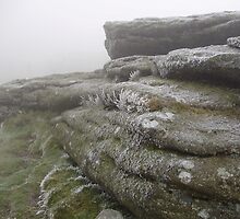 haytor on new years eve by brucemlong