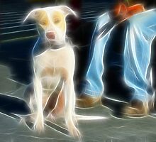 Street Life by Beverly Lussier