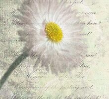 Time and Eternity by John Edwards