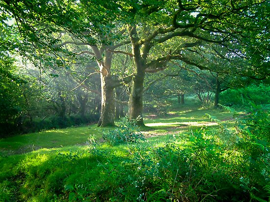 Devon Uk