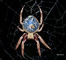 Earth Spider by StarKatz