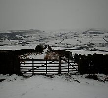 That Gate Again - The Collective! by dougie1