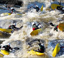Kayak Mania by Chuck Gardner