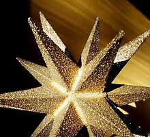 You Are My Shining Star by funkyfacestudio