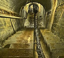 The BID Abyss by Reg Lyons