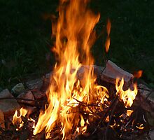 Before the Marshmallows by Veronica Schultz