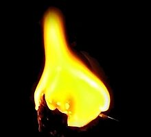 Sizzling Sweetness by Tracy DeVore