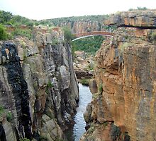 Crossing the barriers of time by laureenr