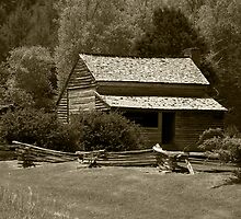 Dan Lawson Place IV by Gary L Suddath