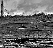 Slice of earth by Shadowandlight