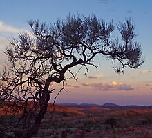 As the day ends. by Reddirt