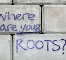 where are your roots by christopher bailey
