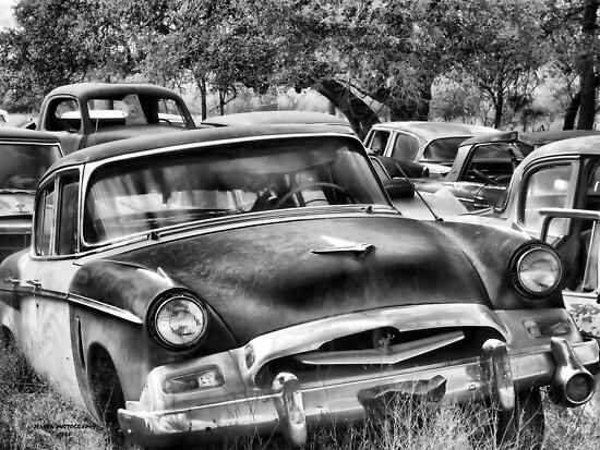 Old Timer 2 BoneYard Series by Carla Jensen