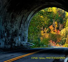 Brighter times ahead HDR by PJS15204