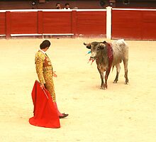 Bull fighter stares down the bull by Mountainimage