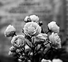 Life & Death: The In Between Times by Mark German