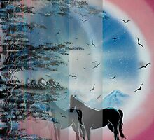 a bliss of a horse by ronnyhaklay