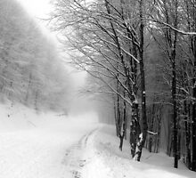 Frozen III by andzer