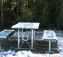 Picnic anyone? by Karen Doidge
