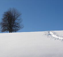 keep your feet on earth... by Cyril Marchand