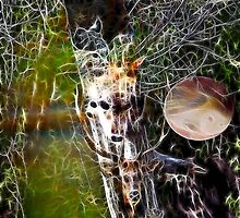 Medicine Tree by tkrosevear