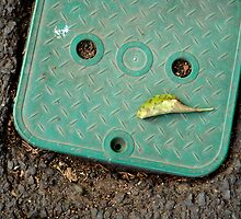 Artificial Face - Manhole Cover by Dentanarts