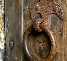Fleur de Lis by Amy Dokken