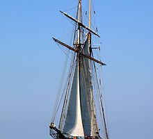 Chesapeake Bay Sailing by Timothy Gass