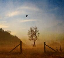 Echoes Of Silence by Philippe Sainte-Laudy