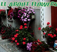 All About Flowers - Logo proposal by sstarlightss