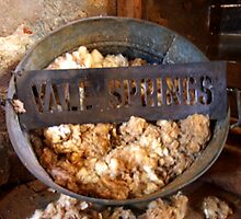 Vale Springs by Christie-Anne Piggott