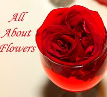 All About Flowers by ZeeZeeshots