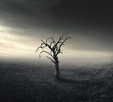 Agony by swin