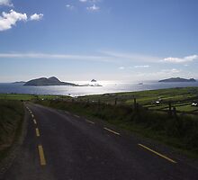 View to Blasket Islands Co. Kerry by James Cronin