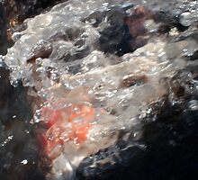 finding breathing room 1 by butchart