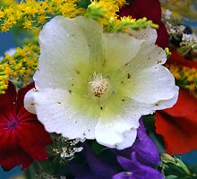 Flower Bouquet by Helena Haidner