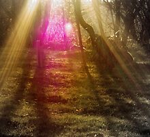 Spiritual Sunset by Marko Palm