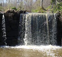 The Beautiful Little Dam falls by RealPainter