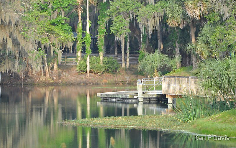 "Gemini Springs Park, Debary, Florida" by Karl F Davis Redbubble
