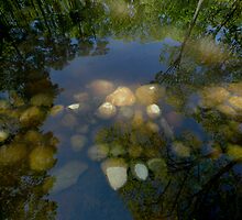 Untitled.00140 by Byron Gates Jr