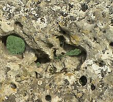 Standing Stone with holes by farmbrough